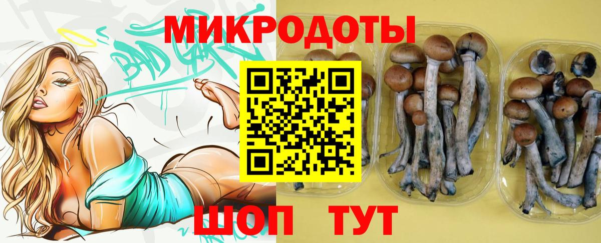 Галлюциногенные грибы MAGIC MUSHROOMS Клин
