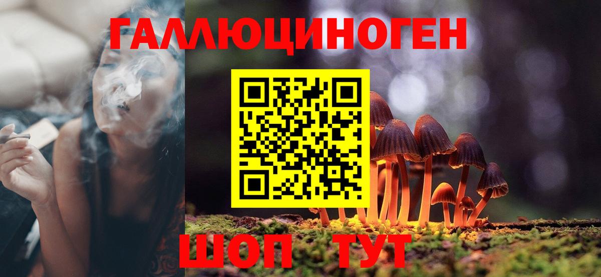 Псилоцибиновые грибы Magic Shrooms  Вход с VPN  Клин 